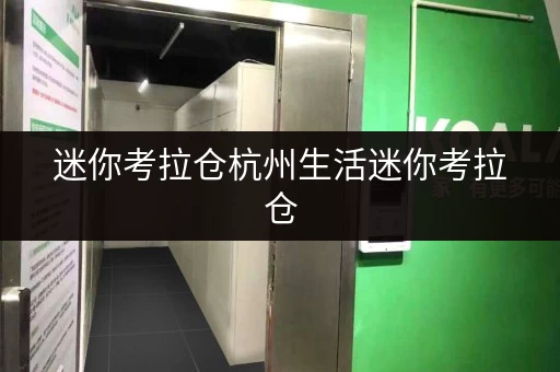 迷你考拉仓杭州生活迷你考拉仓,你的专属储物空间 迷你考拉仓杭州生活迷你考拉仓,你的专属储物空间