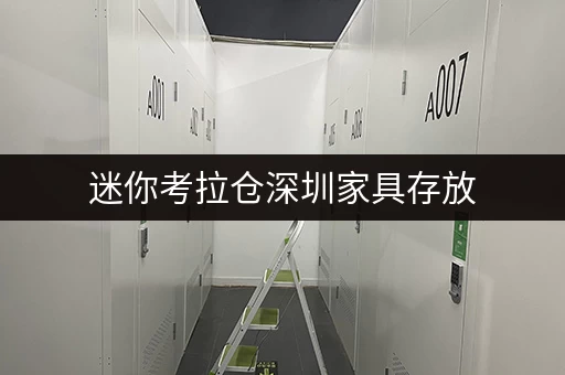 迷你考拉仓深圳家具存放，安全与温湿监控双重保障，让您的宝贝安然无忧