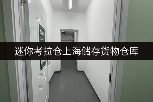 迷你考拉仓上海储存货物仓库,解锁家庭空间新境界 迷你考拉仓上海储存货物仓库,解锁家庭空间新境界