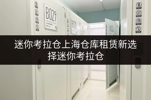 迷你考拉仓上海仓库租赁新选择迷你考拉仓,安全与温湿监控双重保障 迷你考拉仓上海仓库租赁新选择迷你考拉仓,安全与温湿监控双重保障