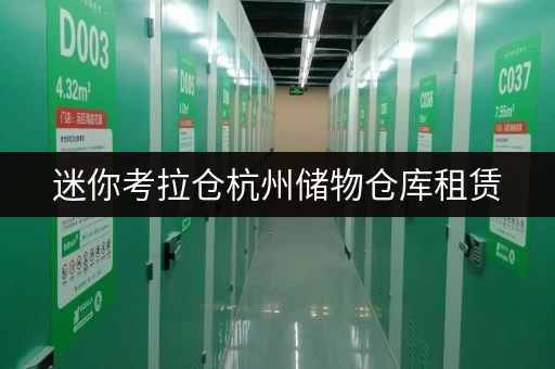 迷你考拉仓杭州储物仓库租赁,安全与温湿监控,让您的物品安心“安家” 迷你考拉仓杭州储物仓库租赁,安全与温湿监控,让您的物品安心“安家”