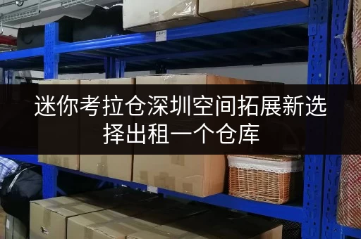 迷你考拉仓深圳空间拓展新选择出租一个仓库,空间无忧 迷你考拉仓深圳空间拓展新选择出租一个仓库,空间无忧