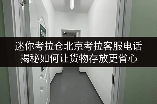 迷你考拉仓北京考拉客服电话揭秘如何让货物存放更省心，打造个性化存储方案