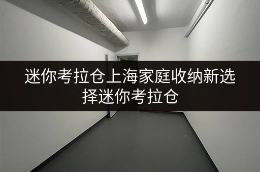 迷你考拉仓上海家庭收纳新选择迷你考拉仓，透明价格，省钱攻略