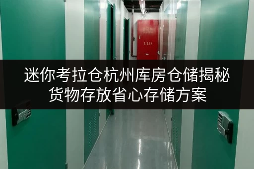 迷你考拉仓杭州库房仓储揭秘货物存放省心存储方案,价格透明解析! 迷你考拉仓杭州库房仓储揭秘货物存放省心存储方案,价格透明解析!