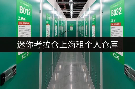 迷你考拉仓上海租个人仓库,轻松打造省心存储方案 迷你考拉仓上海租个人仓库,轻松打造省心存储方案