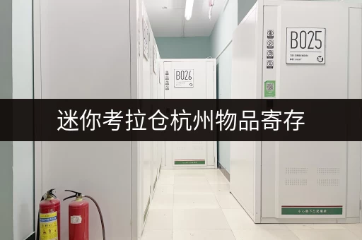 迷你考拉仓杭州物品寄存,迷你考拉仓助您轻松选择理想空间 迷你考拉仓杭州物品寄存,迷你考拉仓助您轻松选择理想空间