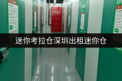 迷你考拉仓深圳出租迷你仓,安全与温湿监控,守护您的每一件宝贝 迷你考拉仓深圳出租迷你仓,安全与温湿监控,守护您的每一件宝贝