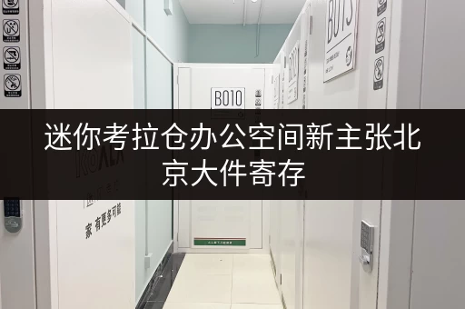 迷你考拉仓办公空间新主张北京大件寄存,让您的办公空间焕然一新! 迷你考拉仓办公空间新主张北京大件寄存,让您的办公空间焕然一新!