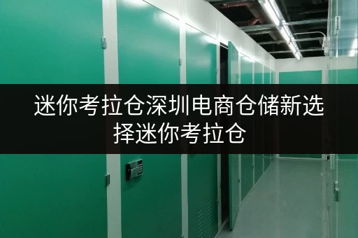 迷你考拉仓深圳电商仓储新选择迷你考拉仓，安全温湿监控，让仓储无忧