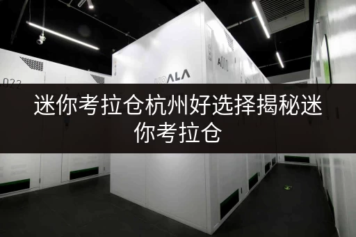 迷你考拉仓杭州好选择揭秘迷你考拉仓，物品寄存透明省钱攻略！