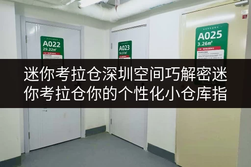 迷你考拉仓深圳空间巧解密迷你考拉仓你的个性化小仓库指南