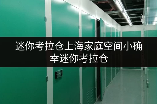 迷你考拉仓上海家庭空间小确幸迷你考拉仓，货物存放更省心