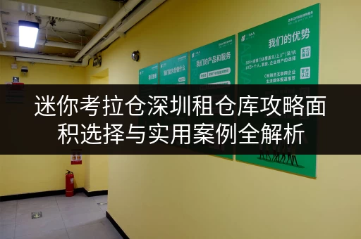 迷你考拉仓深圳租仓库攻略面积选择与实用案例全解析