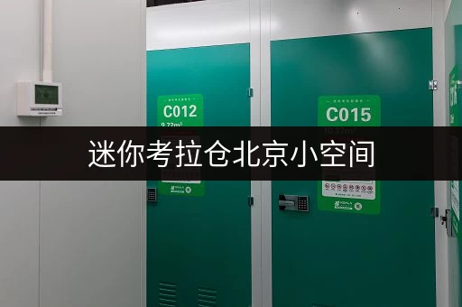 迷你考拉仓北京小空间，大释放——迷你考拉仓，家庭空间新主张