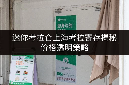 迷你考拉仓上海考拉寄存揭秘价格透明策略，省钱技巧大公开！
