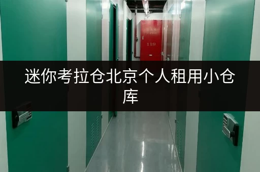 迷你考拉仓北京个人租用小仓库，轻松解决货物存放难题