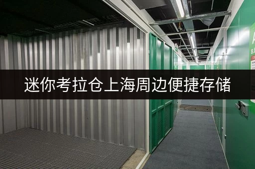 迷你考拉仓上海周边便捷存储，工具箱租赁新选择——迷你考拉仓带您解锁生活新方式