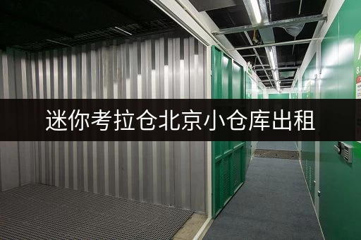 迷你考拉仓北京小仓库出租，释放空间，提升生活品质全攻略