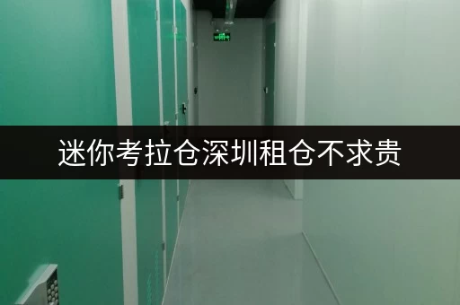 迷你考拉仓深圳租仓不求贵，迷你考拉仓带你轻松省钱