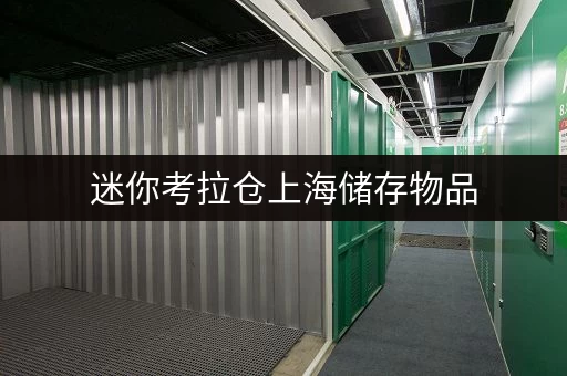 迷你考拉仓上海储存物品，办公空间释放新可能