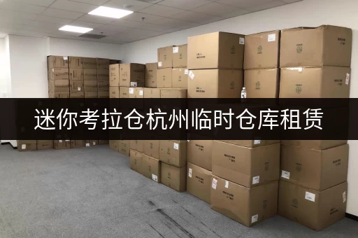 迷你考拉仓杭州临时仓库租赁，安全与温湿监控双重保障，让您的物品安心“寄存”
