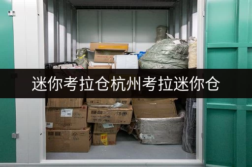迷你考拉仓杭州考拉迷你仓，守护您的宝贝，温湿监控让您无忧存储