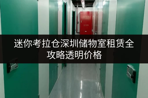 迷你考拉仓深圳储物室租赁全攻略透明价格，省钱小窍门大公开！