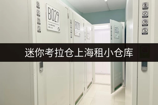 迷你考拉仓上海租小仓库，费用全攻略存取便捷，全天候无忧