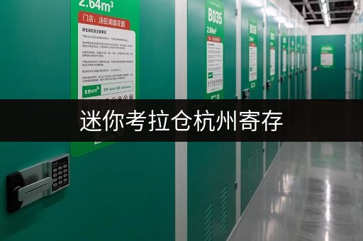 迷你考拉仓杭州寄存，价格透明全解析