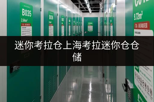 迷你考拉仓上海考拉迷你仓仓储，随存随取，便捷生活新体验