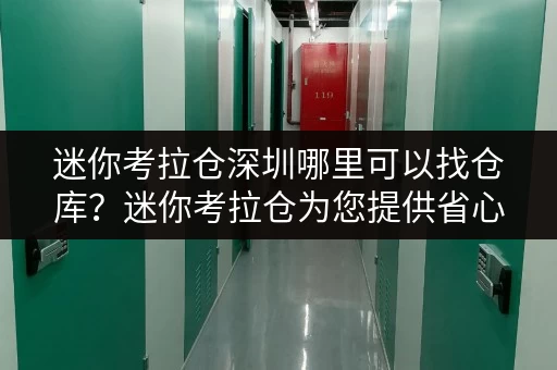 迷你考拉仓深圳哪里可以找仓库？迷你考拉仓为您提供省心存储方案