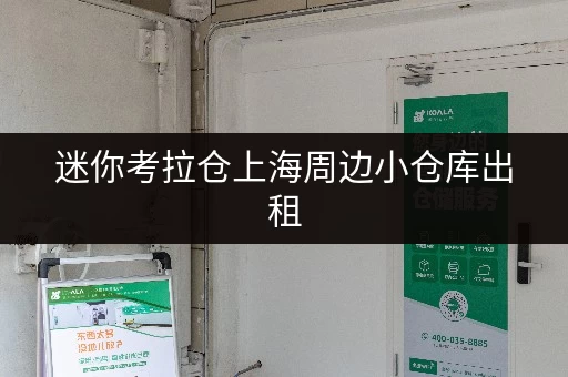 迷你考拉仓上海周边小仓库出租，安全温湿监控，为您的物品保驾护航