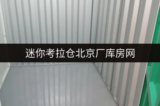 迷你考拉仓北京厂库房网，揭秘迷你考拉仓的安全与温湿监控全攻略