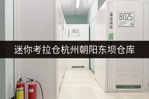 迷你考拉仓杭州朝阳东坝仓库，货物存放更省心的存储方案