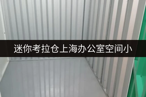 迷你考拉仓上海办公室空间小，办公用品堆放无序？迷你考拉仓助您轻松解决