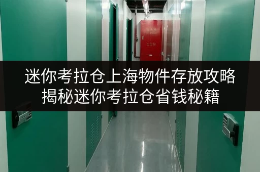 迷你考拉仓上海物件存放攻略揭秘迷你考拉仓省钱秘籍，告别存储烦恼！