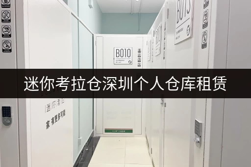 迷你考拉仓深圳个人仓库租赁，随存随取，轻松管理你的小世界