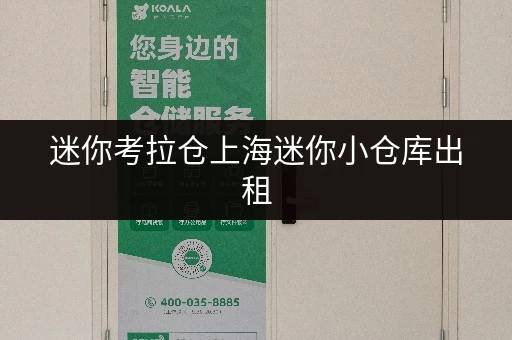 迷你考拉仓上海迷你小仓库出租，告别杂乱，让货物存放更省心