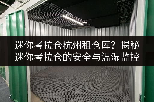 迷你考拉仓杭州租仓库？揭秘迷你考拉仓的安全与温湿监控
