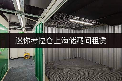 迷你考拉仓上海储藏间租赁，安全与温湿监控双重保障，价格透明揭秘！