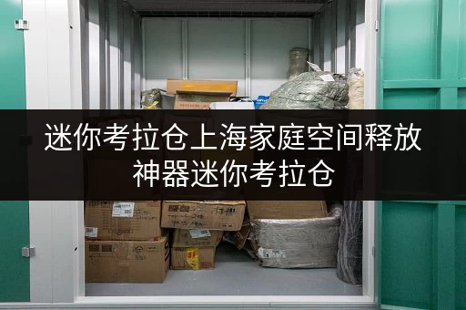 迷你考拉仓上海家庭空间释放神器迷你考拉仓，安全温湿监控，存储无忧