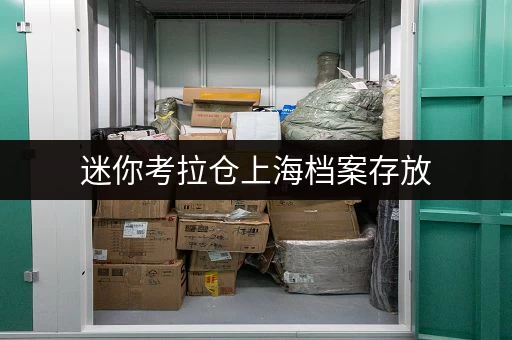 迷你考拉仓上海档案存放,迷你考拉仓助您轻松应对 迷你考拉仓上海档案存放,迷你考拉仓助您轻松应对