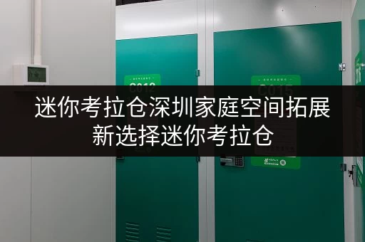 迷你考拉仓深圳家庭空间拓展新选择迷你考拉仓，存储无忧