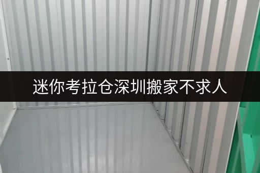 迷你考拉仓深圳搬家不求人，迷你考拉仓教你省钱大攻略！