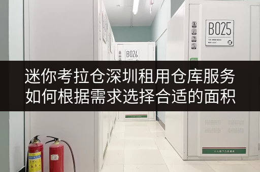 迷你考拉仓深圳租用仓库服务如何根据需求选择合适的面积？四大实用案例解析