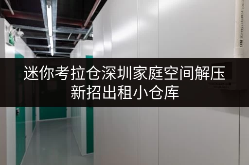 迷你考拉仓深圳家庭空间解压新招出租小仓库，品质生活不再受限