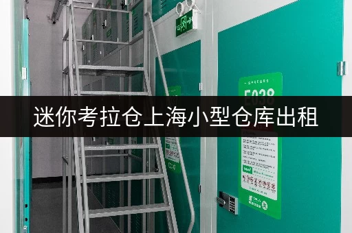 迷你考拉仓上海小型仓库出租，空间巧用全攻略