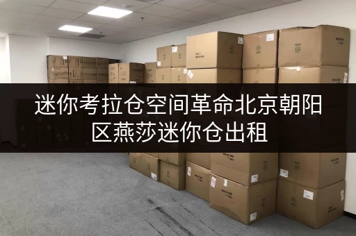 迷你考拉仓空间革命北京朝阳区燕莎迷你仓出租,释放家庭空间,提升生活品质 迷你考拉仓空间革命北京朝阳区燕莎迷你仓出租,释放家庭空间,提升生活品质
