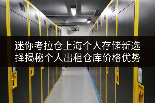 迷你考拉仓上海个人存储新选择揭秘个人出租仓库价格优势与全时段便捷服务